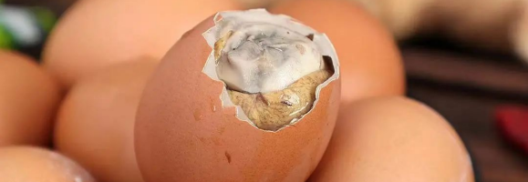 Balut
