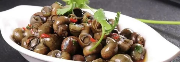 Fresh snail and clam